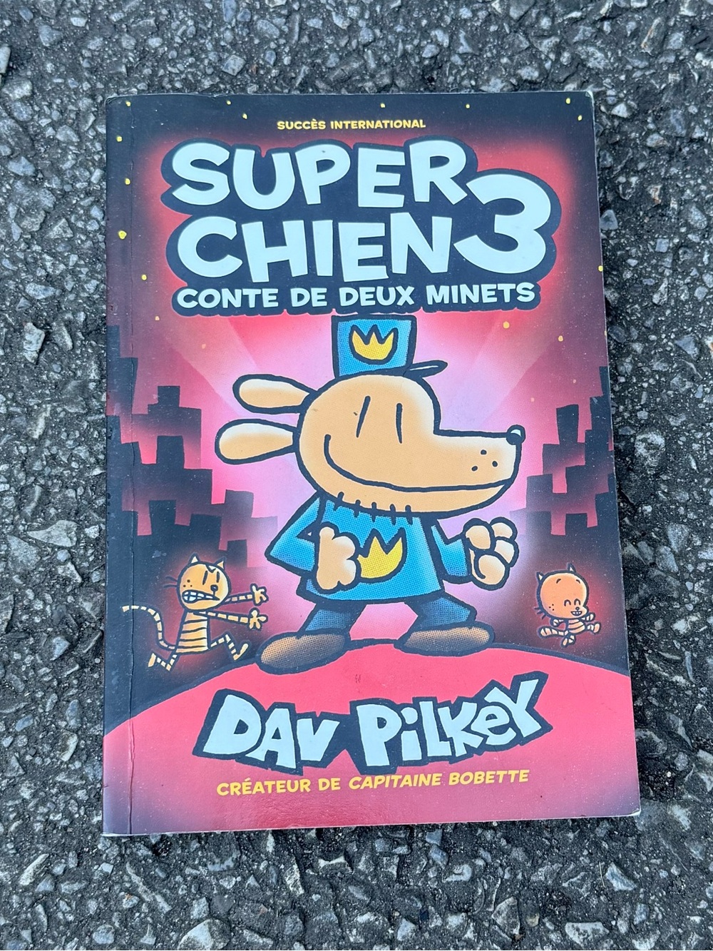 Super Chien 3